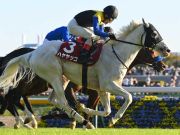 アルゼンチン共和国杯