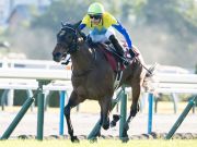 デイリー杯2歳S