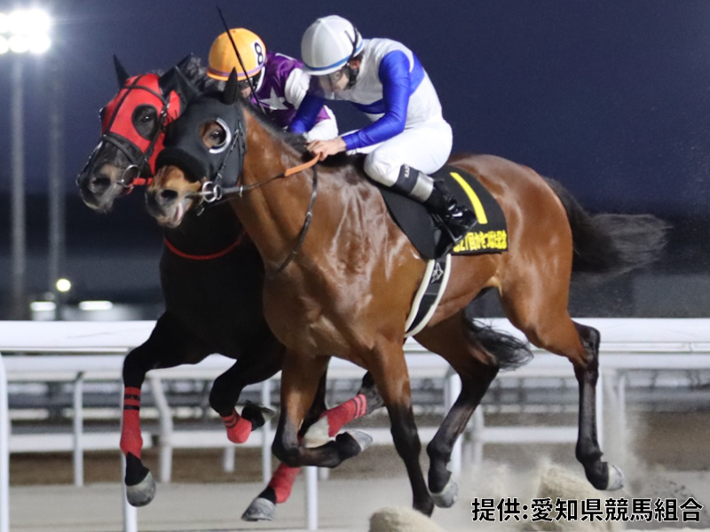 かきつばた記念